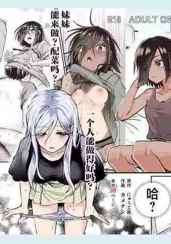 Totsuzen Gishi to Gimai ga Dekite Shimatta Ken EX