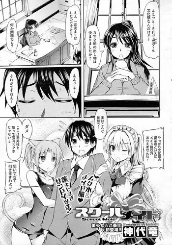 [Kamishiro Ryuu] maid series