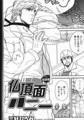 [Miyoshi Hiromi] Bucchouzura Honey (Nikutaiha Vol. 7)