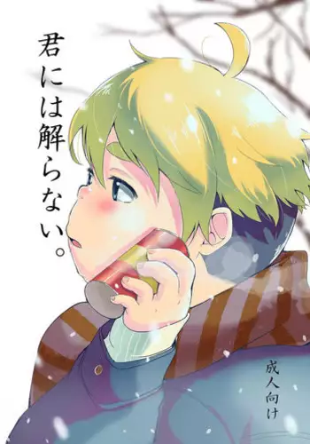 [707room (Maru)] Kimi ni wa Wakaranai. [Digital]